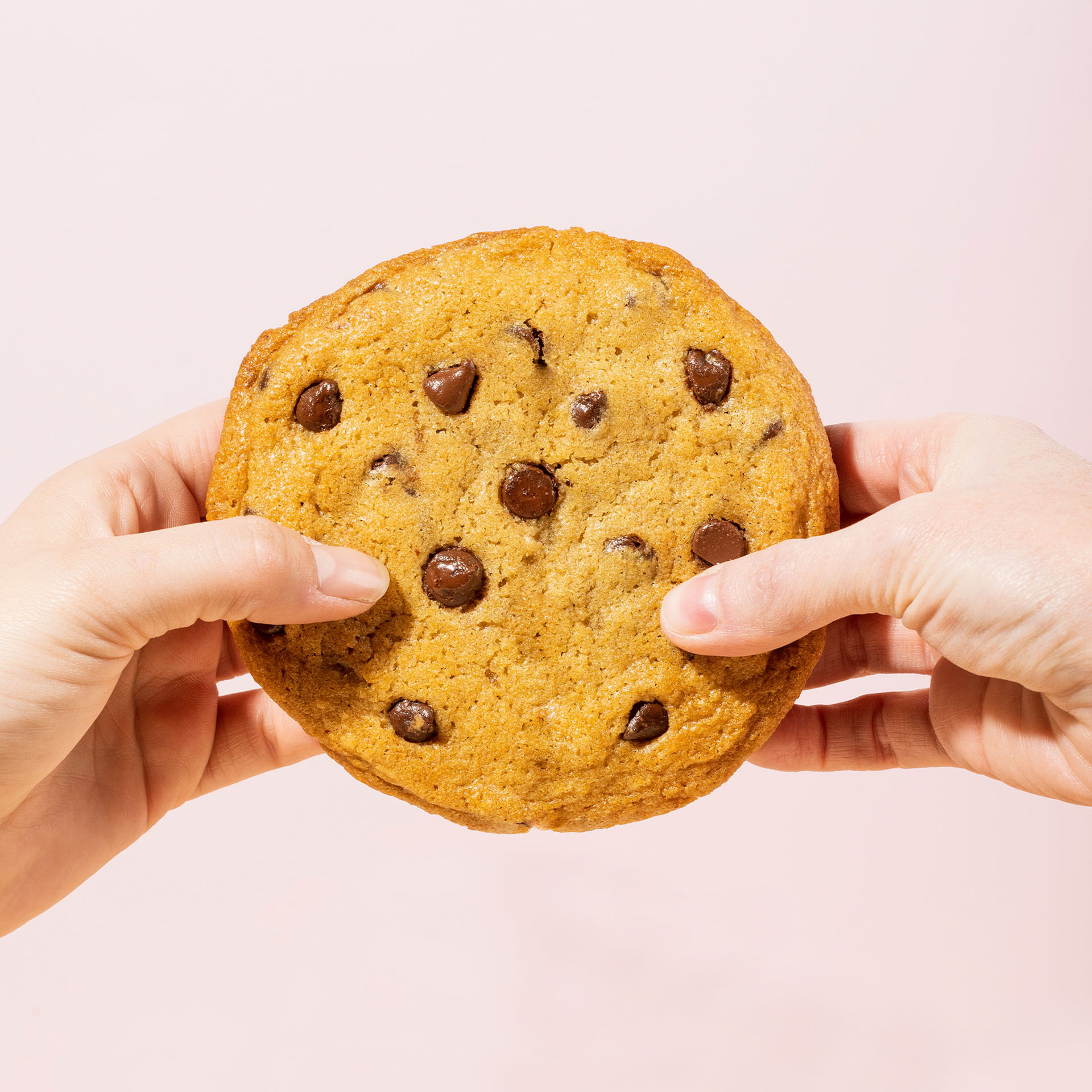 Chocolate chip cookie
